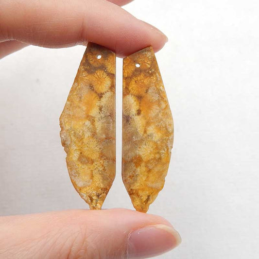 Nugget Perle de boucle d'oreille en corail fossile indonésien, 44 x 14 x 3 mm, 7 g