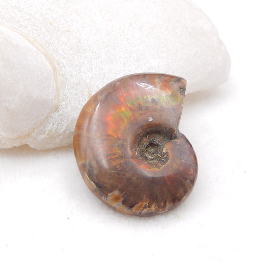 Perle pendentif en pierre précieuse fossile d'ammonite naturelle, 46 x 36 x 13 mm, 30,8 g
