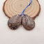 Natural Frog Eye Jasper Earring Beads 25x18x4mm, 5.4g