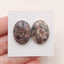 1 对椭圆形多色蛙眼碧玉平背凸圆形，20x15x5mm，4.5g