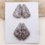 2 对天然多色蛙眼碧玉平背凸圆形，28x13x5mm，23x14x4mm，6.9g