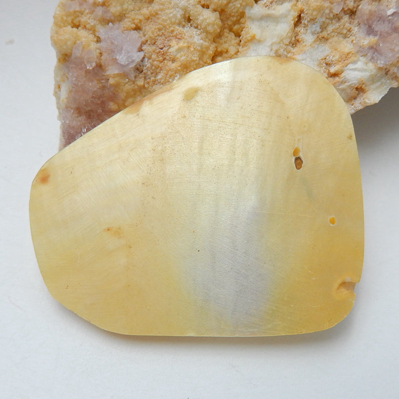 High Quality, Carved Shell Gemstone Cabochons, Craved horse Cabochons, 46x39x4mm, 11.3g - MyGemGarden