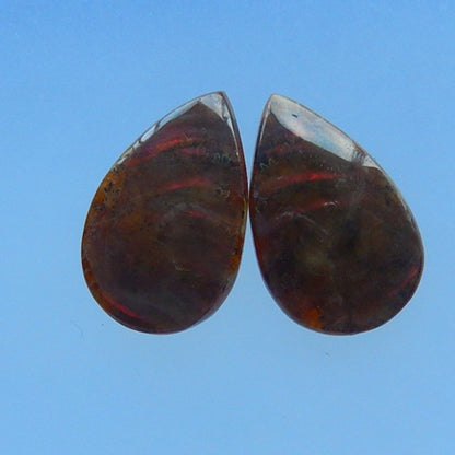 Natural Waterdrop Ammonite Fossil Cabochon Pairs 24x15x4mm 4.6g - MyGemGarden