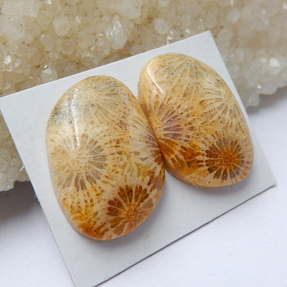 Natural Indonesian Fossil Coral Gemstone Cabochon pair, 23x16x6mm, 7.4g - MyGemGarden