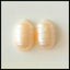 SALE Shell Gemstone Cabochon Pair, 14x9x5mm, 2.08g - MyGemGarden