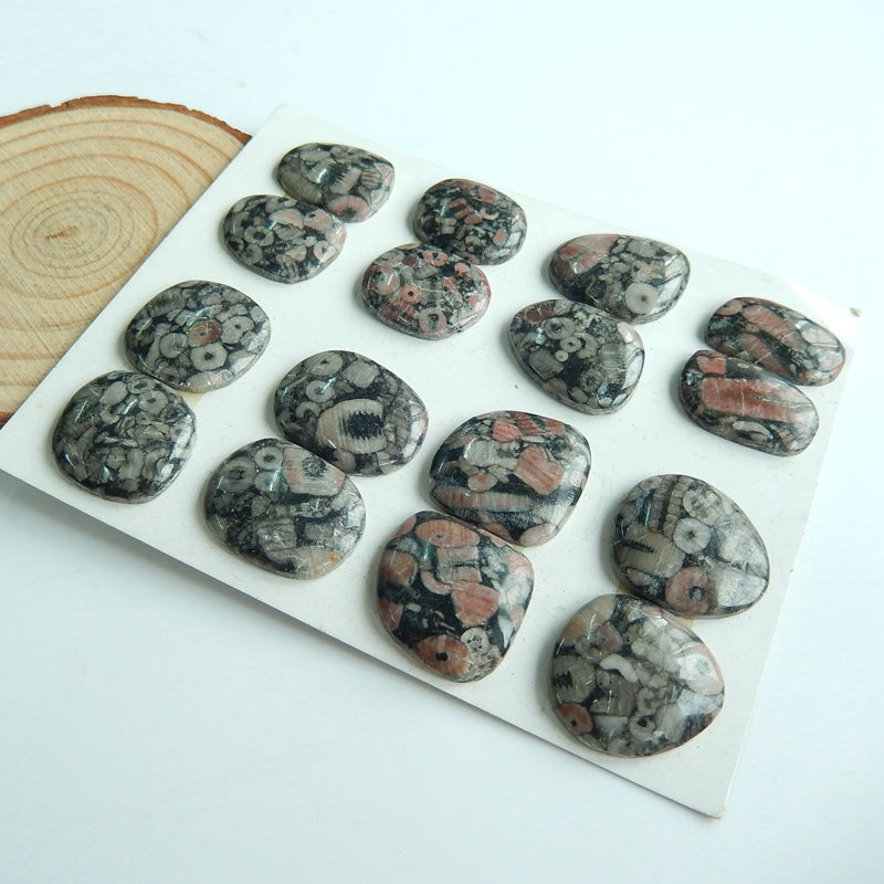 8 pairs Natural Crinoid Fossil Gemstone Cabochon , 20x16x4mm, 18x17x4mm, 30.1g - MyGemGarden