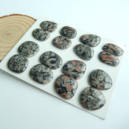 8 pairs Natural Crinoid Fossil Gemstone Cabochon , 20x16x4mm, 18x17x4mm, 30.1g - MyGemGarden