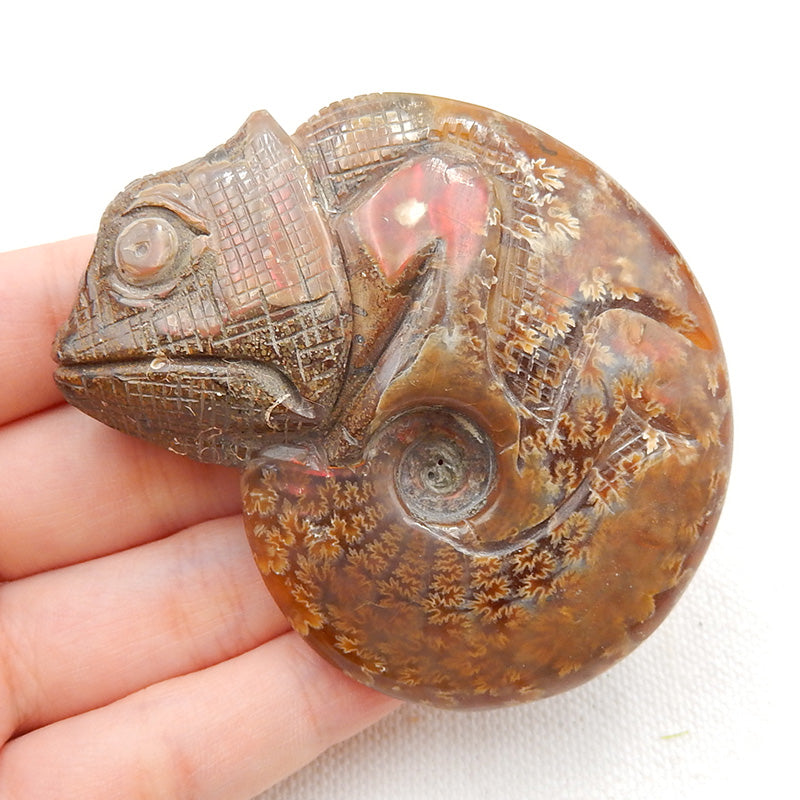 Natural Ammonite Fossil Carved chameleon