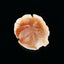 Red Agate Carved Pendant, 47x38x19mm, 27.7g - MyGemGarden