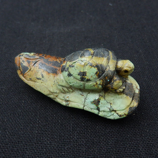 Turquoise Gemstone Turtle Carved Ornament, 54x23x23mm, 34g - MyGemGarden