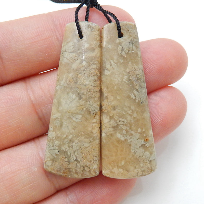 Natural Indonesian Fossil Coral Earrings Pair, stone for Earrings making, 40x15x4mm, 8.6g - MyGemGarden