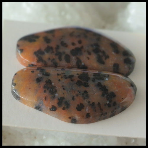 Natural Petrified Wood  Gemstone Cabochon Pair, 31x17x5 mm,8.5g - MyGemGarden