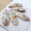 5 PCS Crazy Lace Rosetta Stone Teardrop Pendants Set, 38x11x5mm, 31x12x5mm, 14.3g - MyGemGarden