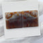 Ocean Jasper Gemstone Natural Cabochon pair, 18x18x3mm, 5.2g - MyGemGarden