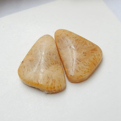 Natural Indonesian Fossil Coral Gemstone Cabochon Pair, 15x10x3mm, 1.6g - MyGemGarden