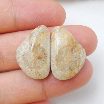 Natural Indonesian Fossil Coral Gemstone Cabochon Pair, 21x13x4mm, 3.4g - MyGemGarden