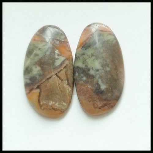 Gift From Natural Mushroom Jasper Cabochon Pair 23x12x4mm3.8g - MyGemGarden