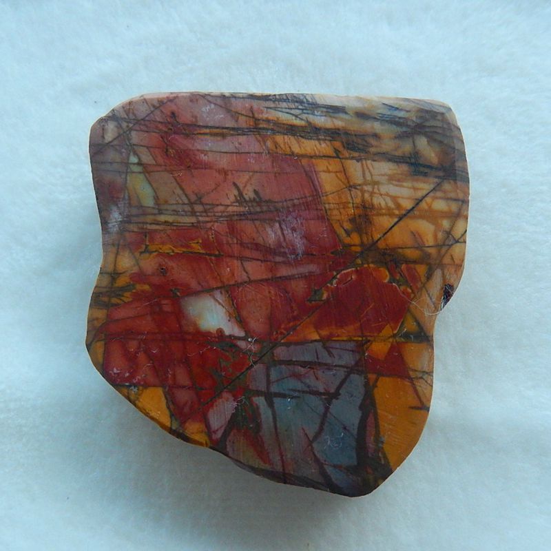 Natural Carved Multi-Color Picasso Jasper animal Cabochon, 59x57x13mm, 68.1g - MyGemGarden