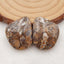 Natural Ammonite Fossil Cabochon Pair, 22x17x5mm, 5.4g