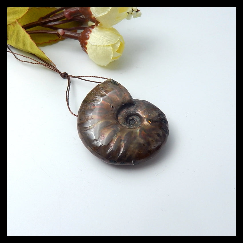 Natural Ammonite Fossil Pendant Bead, 40x33x13mm, 21.3g - MyGemGarden