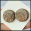 Natural Mushroom Jasper Gemstone 18mm Round Cabochons Pair, 18x18x4mm, 4.7g - MyGemGarden