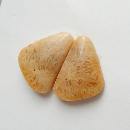 Natural Indonesian Fossil Coral Gemstone Cabochon Pair, 15x10x3mm, 1.6g - MyGemGarden