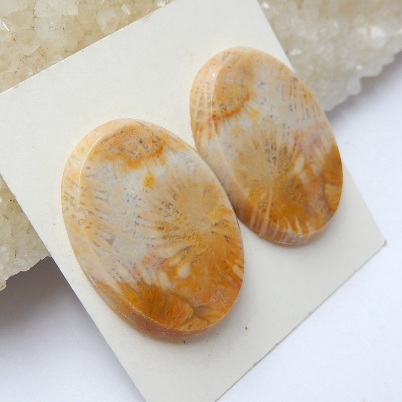 Natural Indonesian Fossil Coral Oval Gemstone Cabochon Pair, 25x18x3mm, 6.1g - MyGemGarden