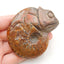 Natural Ammonite Fossil Carved chameleon