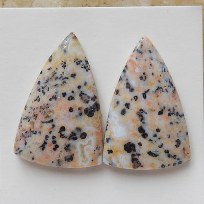 Natural petrified wood  Gemstone Cabochon Pair, 25x16x5mm, 5.6g - MyGemGarden