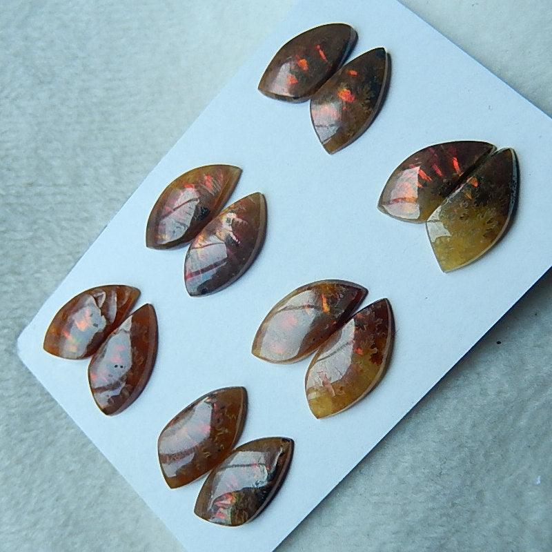 6 Pairs Natural Ammonite Fossil cabochons,14x8x3mm,17x9x3mm 7.75g - MyGemGarden