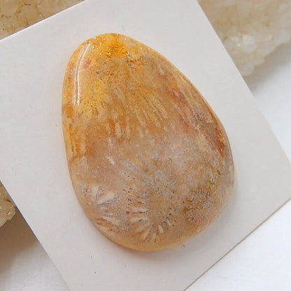 Natural Indonesian Fossil Coral Gemstone Cabochon, 29x24x6mm, 5.7g - MyGemGarden