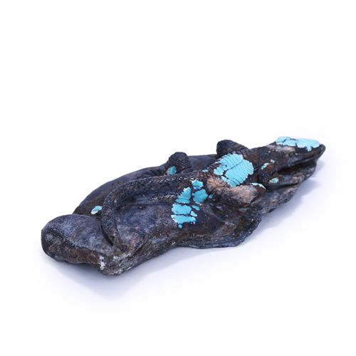 Online Sale Turquoise Carved lizard Gemstone Cabochon, 108x46x12mm, 74.6g - MyGemGarden