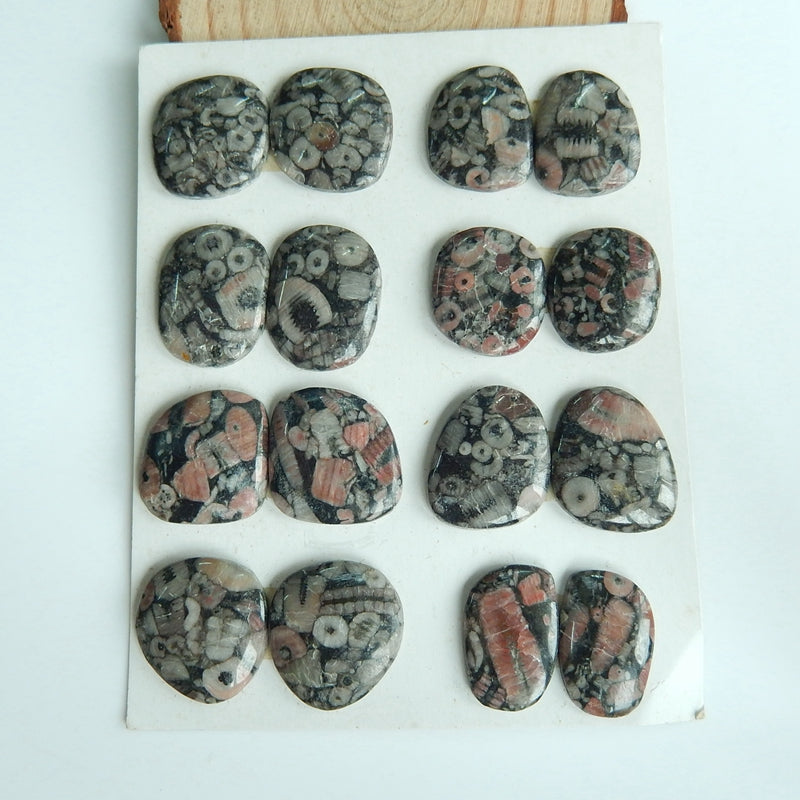 8 pairs Natural Crinoid Fossil Gemstone Cabochon , 20x16x4mm, 18x17x4mm, 30.1g - MyGemGarden