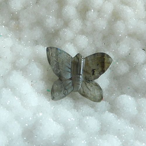 Carved Labradorite Beauty butterfly Cheap cabochon bead, 19x24x3mm, 2.92g - MyGemGarden