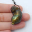 AAA Labradorite hand Engraving animal Pendant for jewelry making, 29x15x13mm9.4g - MyGemGarden