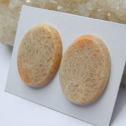 Natural Indonesian Fossil Coral Oval Gemstone Cabochon pair, 21x19x4mm, 7.5g - MyGemGarden