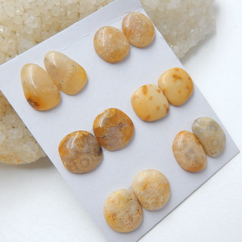 6 Pairs Natural Indonesian Fossil Coral Gemstone Cabochons, 12x11x3mm, 15x10x4mm, 10g - MyGemGarden