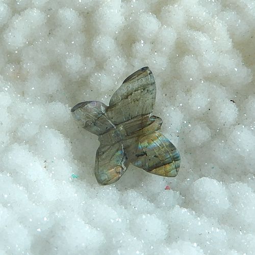 Carved Labradorite Beauty butterfly Cheap cabochon bead, 19x24x3mm, 2.92g - MyGemGarden