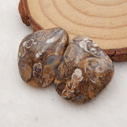 Natural Ammonite Fossil Cabochon Pair, 22x17x5mm, 5.4g