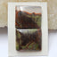 Natural Mushroom Jasper Square Gemstone Cabochon Pair, 19x16x4mm, 4.5g - MyGemGarden