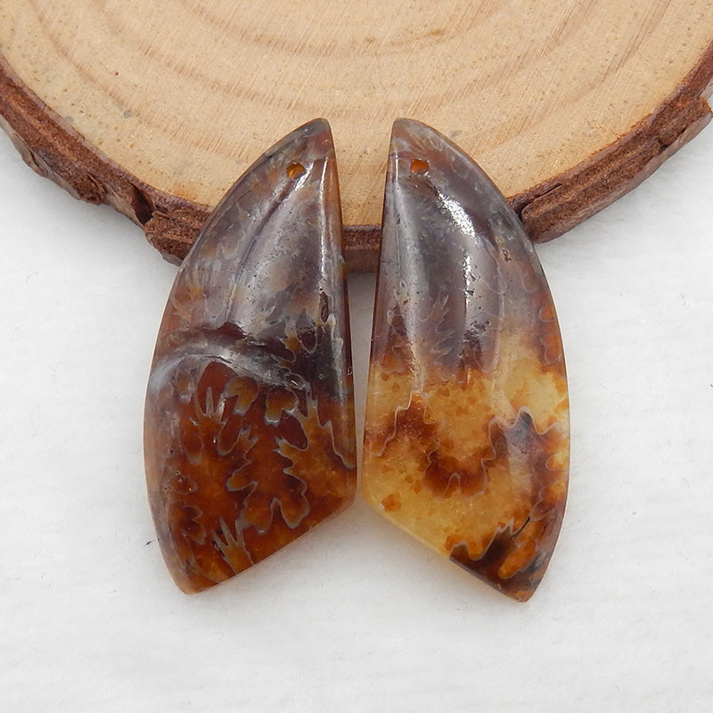 Ammonite Fossil Earrings Stone Pair, stone for earrings making, 34x14x5mm, 8.0g