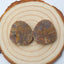 Natural Pieterisite Gemstone Cabochon pair, 22x21x5mm, 7.5g - MyGemGarden