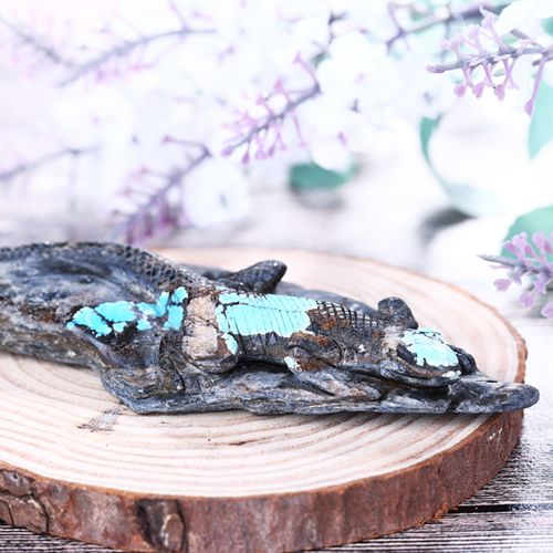 Online Sale Turquoise Carved lizard Gemstone Cabochon, 108x46x12mm, 74.6g - MyGemGarden