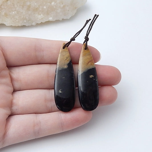 Natural palm fossil Earrings Pair, 44x13x5mm, 8.8g - MyGemGarden